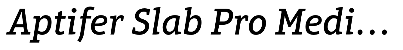 Aptifer Slab Pro Medium Italic
